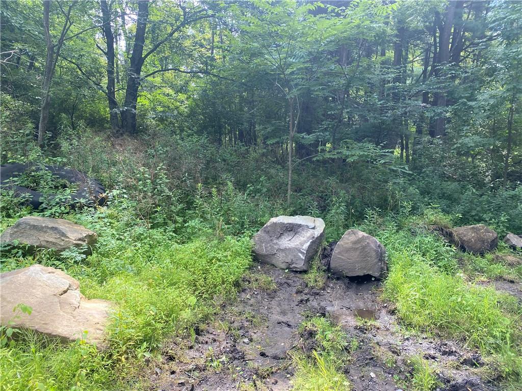 925 Haytown Road Grampian, PA 16838 - Photo 5 of 8 a view of a backyard with table and chairs
