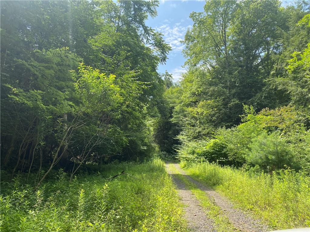 925 Haytown Road Grampian, PA 16838 - Photo 6 of 8 a view of a lake view with a garden