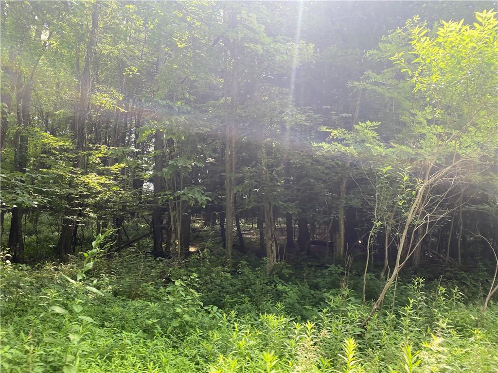 925 Haytown Road Grampian, PA 16838 - Photo 7 of 8 a view of a garden