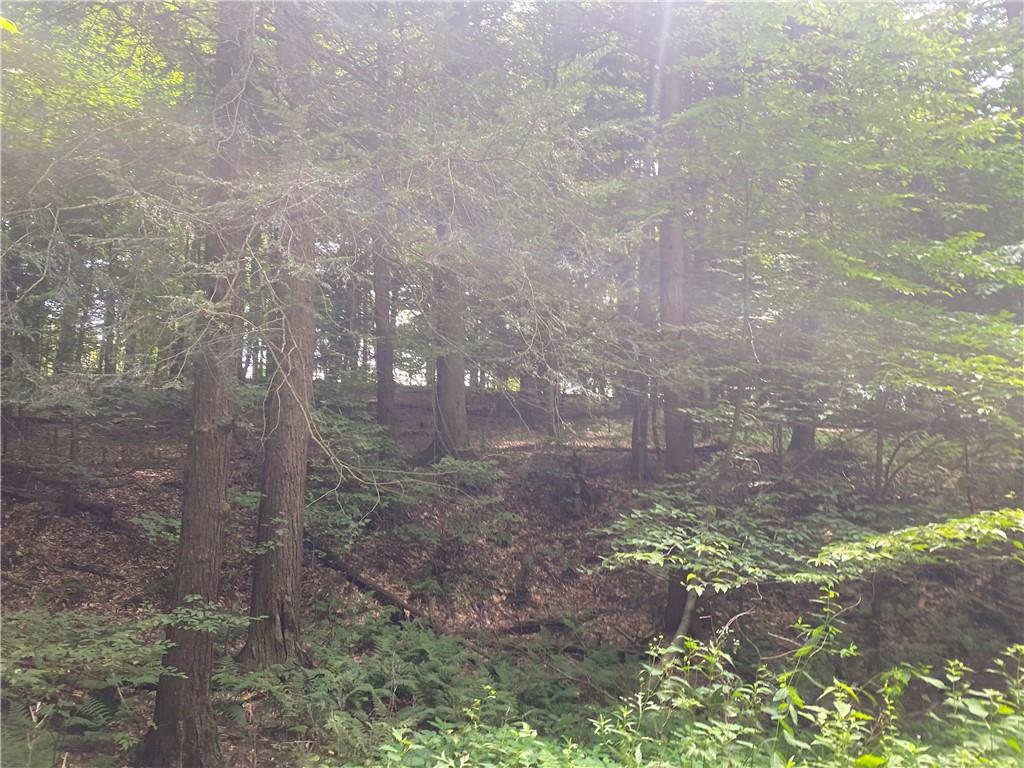 925 Haytown Road Grampian, PA 16838 - Photo 8 of 8 a backyard of a house