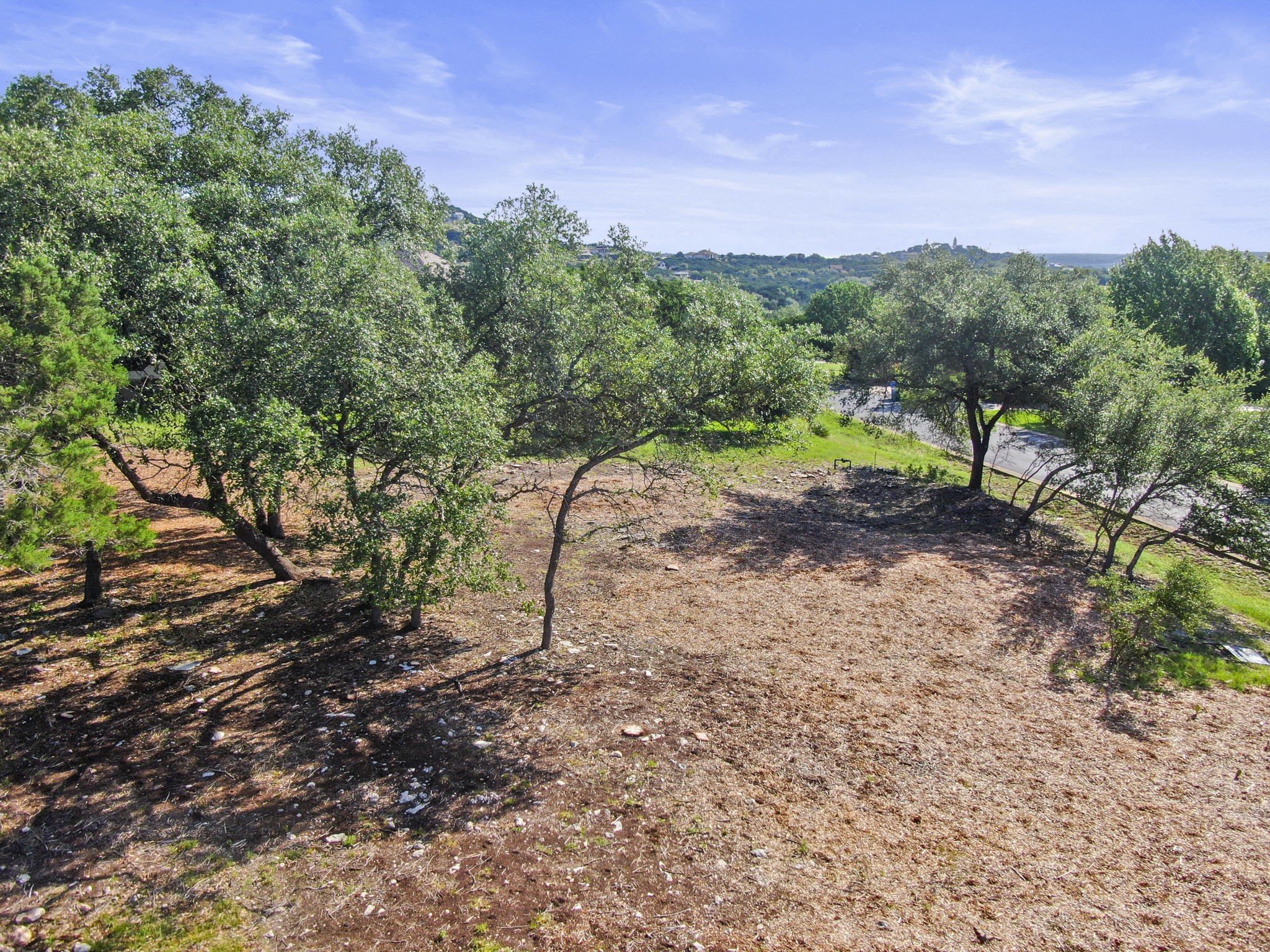 8200 Moon Rise Trail Jonestown, TX 78645 - Photo 11 of 14 a view of a dry yard with trees in the background