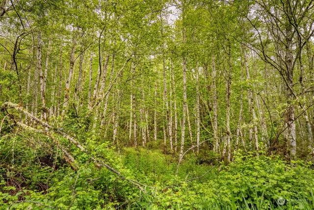 a view of a green field