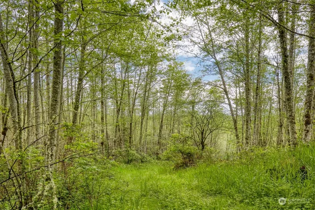 $225,000 | 0 Elkhorn Lane, Quilcene, WA 98376