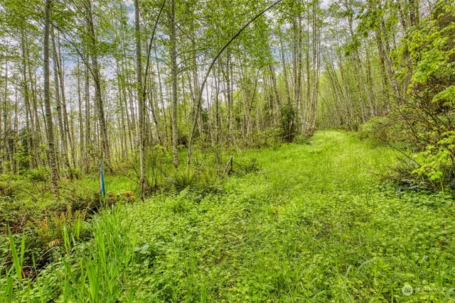 $225,000 | 0 Elkhorn Lane, Quilcene, WA 98376