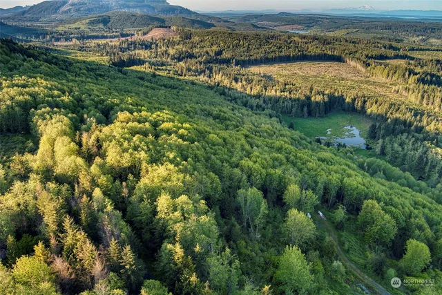 a view of a lake with a mountain