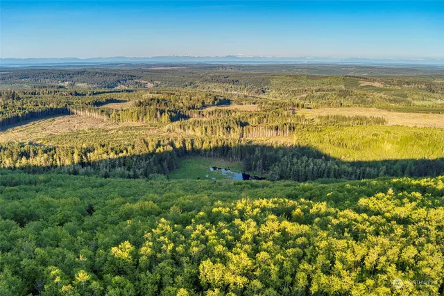 a view of a lake with a yard