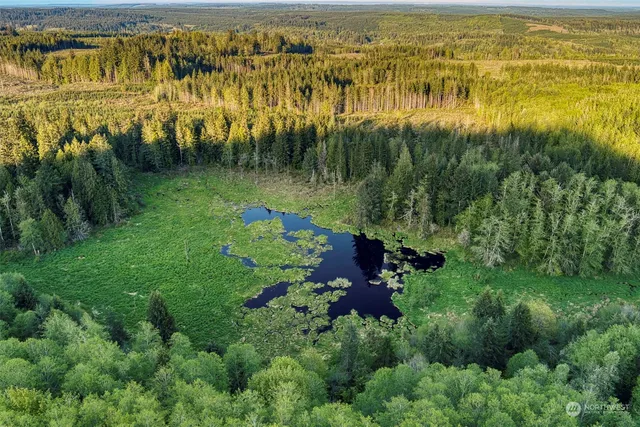 a view of lake with green field