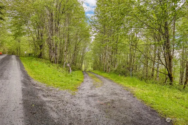 a view of a back yard