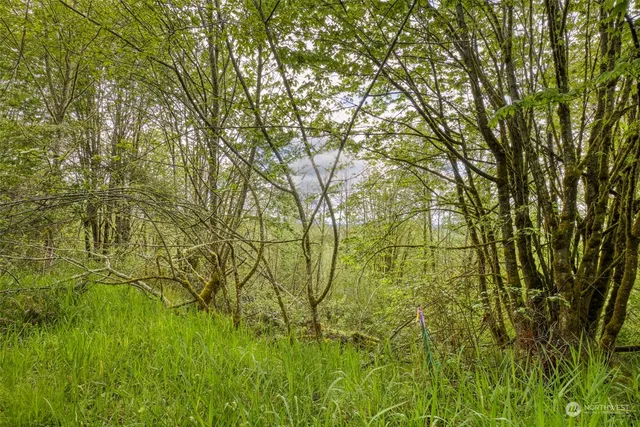 a view of yard with green space