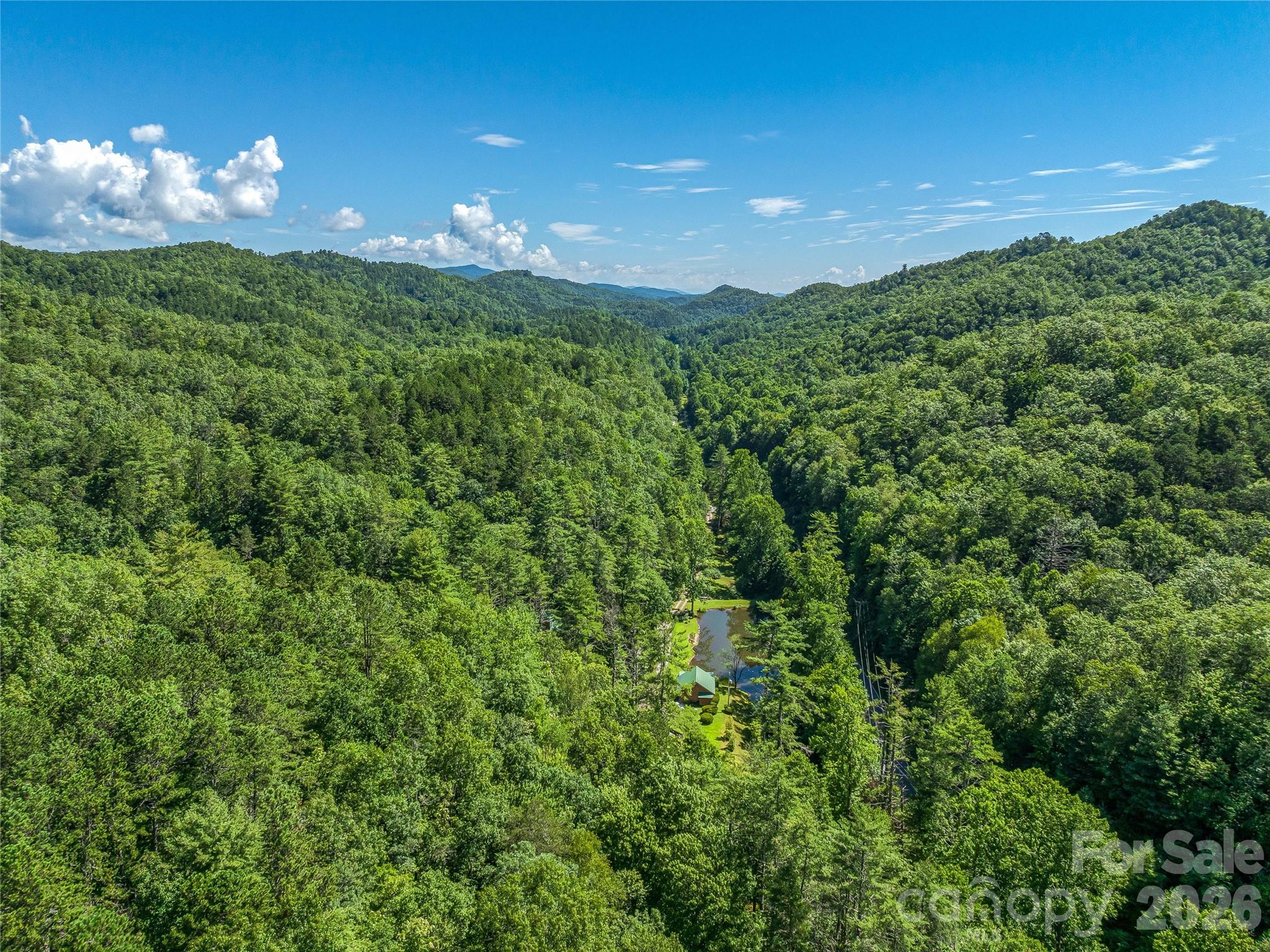 0 Frozen Creek Road Brevard, NC 28712 - Photo 31 of 35 Gallery Image 31