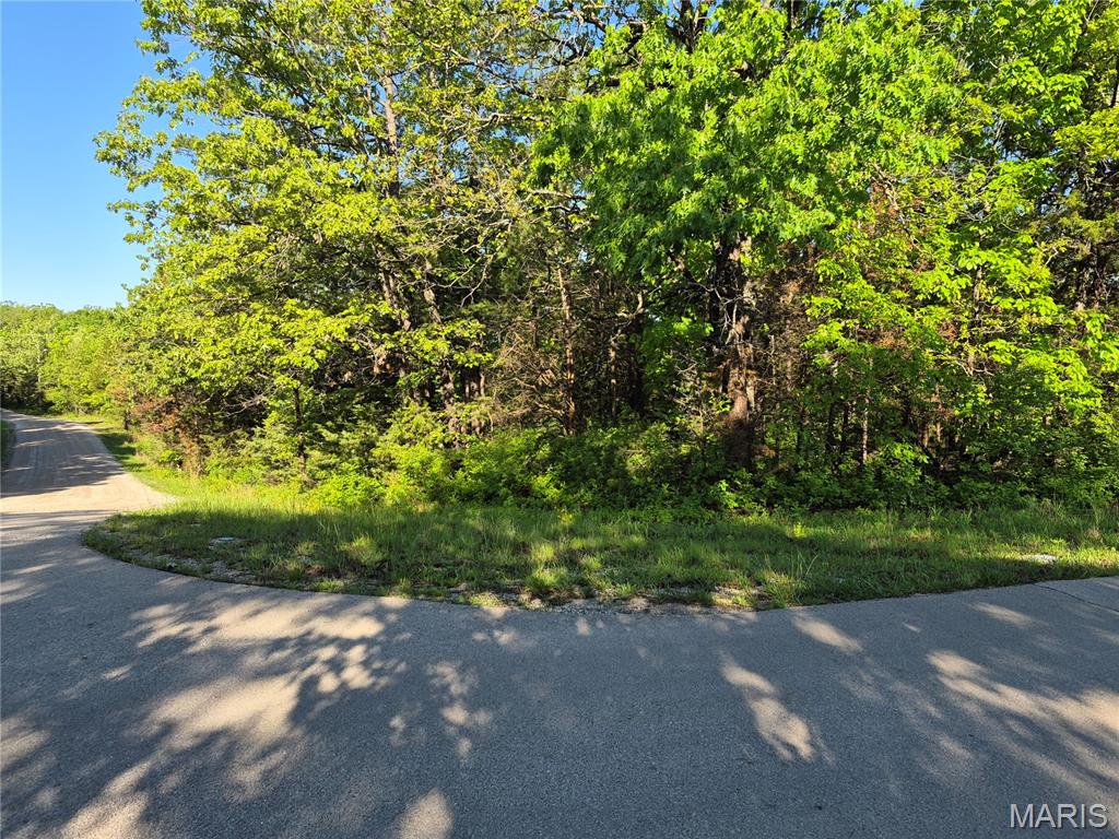 0 Rue Chambly Bonne Terre, MO 63628 - Photo 1 of 2
