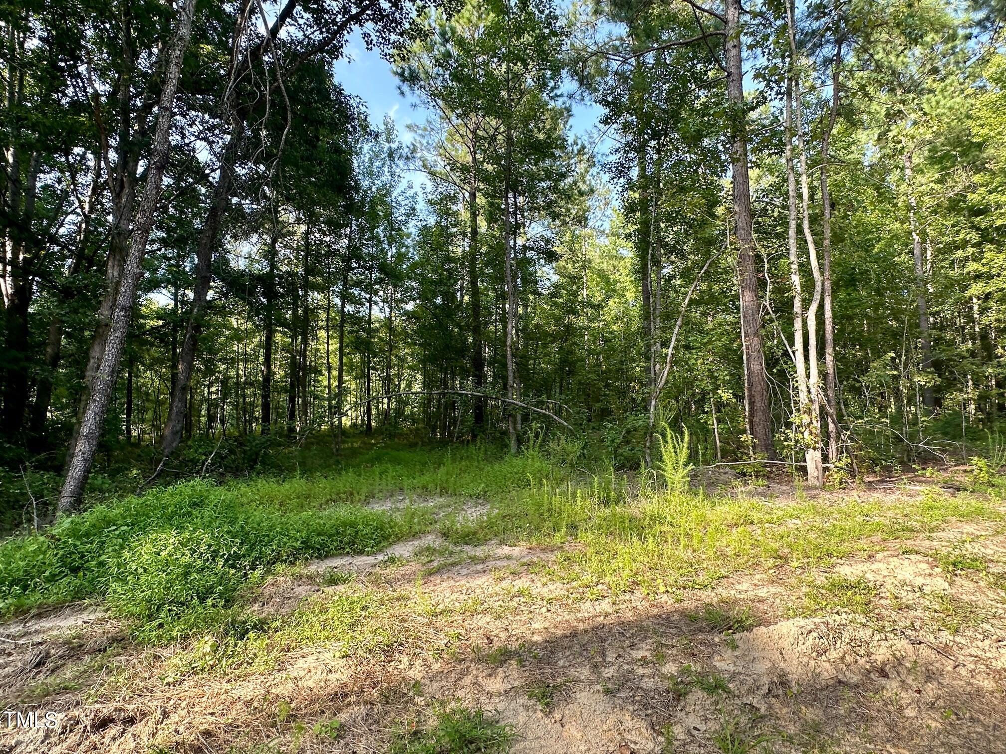 285 Old Eason Road Zebulon, NC 27597 - Photo 6 of 16