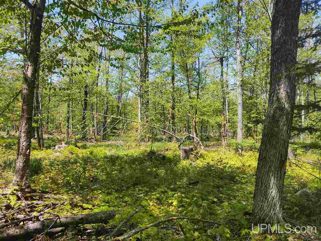 Tbd-parcel Point Abbaye Road Lanse, MI 49946 - Photo 19 of 25