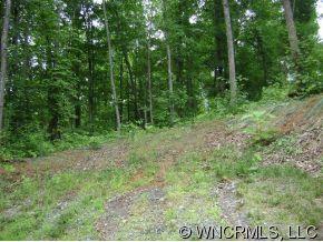 32 Rambling Creek Road, Unit 32 Tryon, NC 28782 - Photo 3 of 6 a view of a lush green forest