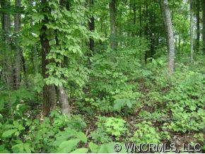 32 Rambling Creek Road, Unit 32 Tryon, NC 28782 - Photo 4 of 6 a view of a lush green forest