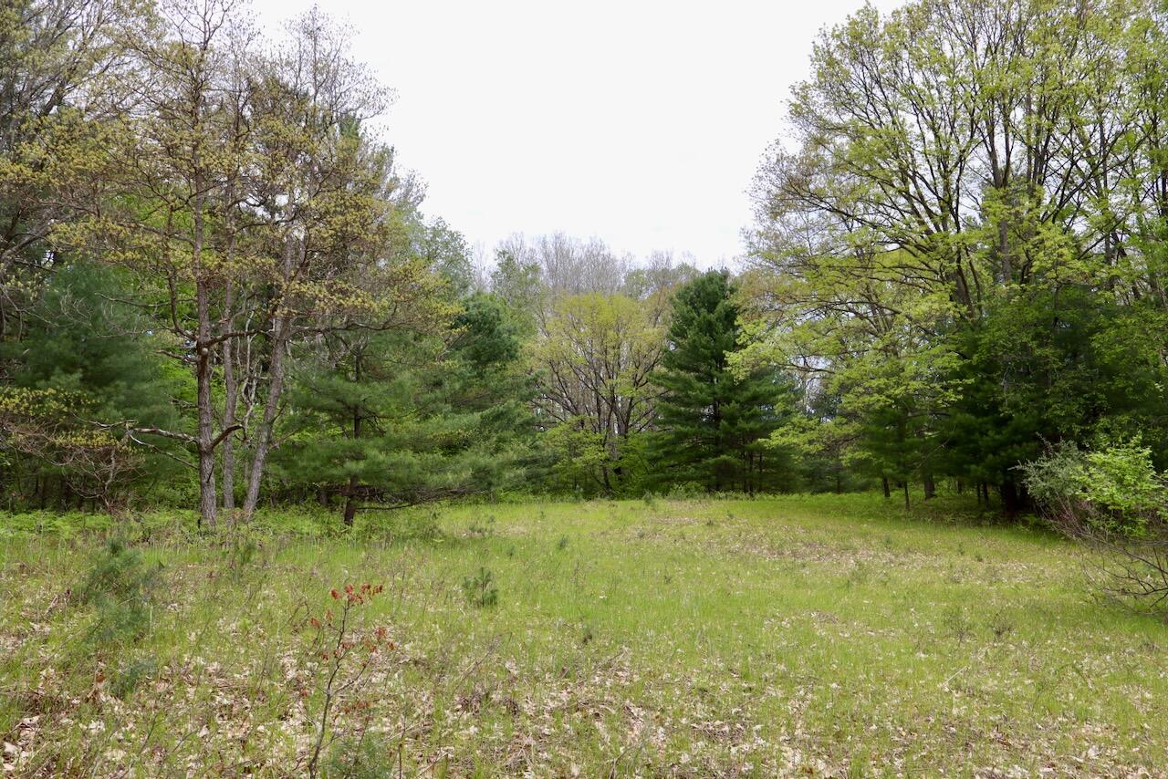 6153 South Branch Road Branch, MI 49402 - Photo 11 of 70 10