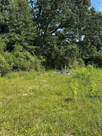 a view of a yard