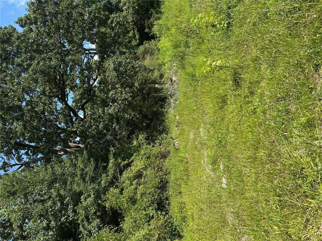 2370 Ebenezer Road Southwest Conyers, GA 30094 - Photo 2 of 5 a view of a big yard with plants and large trees