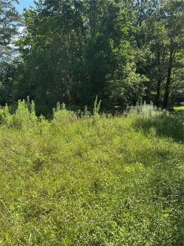 a view of outdoor space with deck and yard