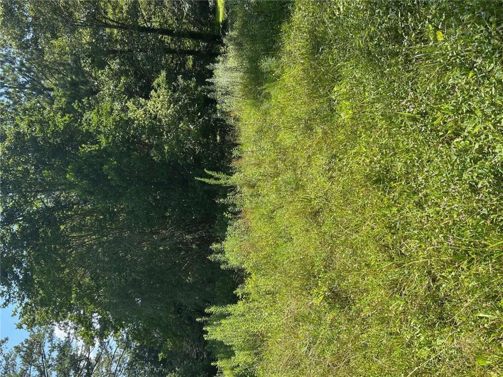 2370 Ebenezer Road Southwest Conyers, GA 30094 - Photo 3 of 5 a view of a yard