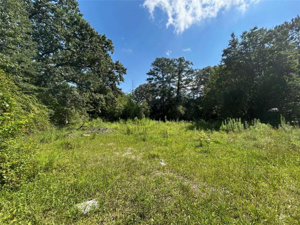 2370 Ebenezer Road Southwest Conyers, GA 30094 - Photo 4 of 5 a view of outdoor space with deck and yard