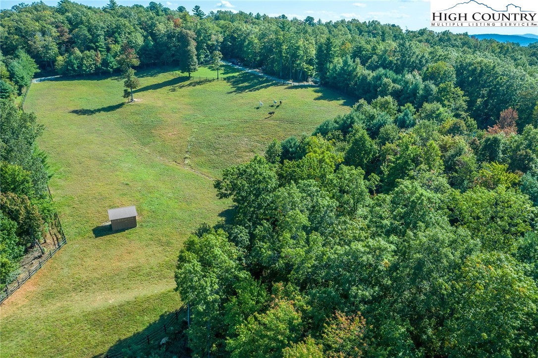 Rodeo Road Ferguson, NC 28624 - Photo 14 of 30 a view of a lush green space