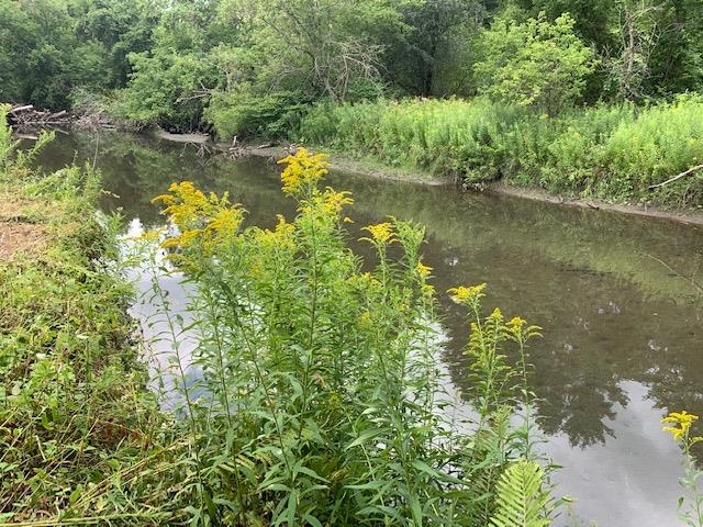 0 Barnard Road Woodstock, VT 05091 - Photo 8 of 11