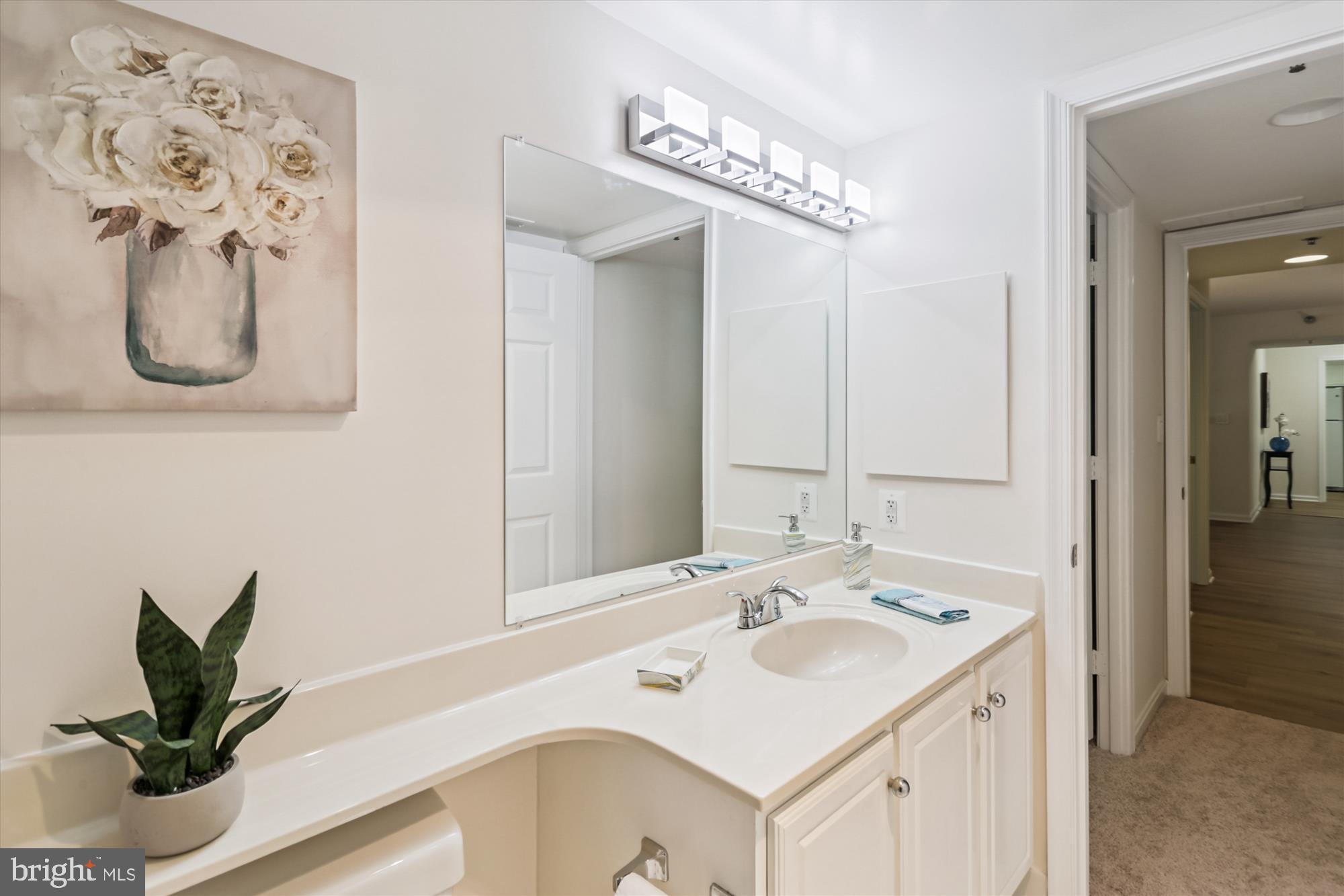 14801 Pennfield Circle, Unit 210 Silver Spring, MD 20906 - Photo 19 of 39 a bathroom with a sink and a mirror