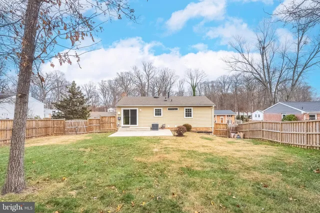 a view of a yard and a house with a large tree in a yard