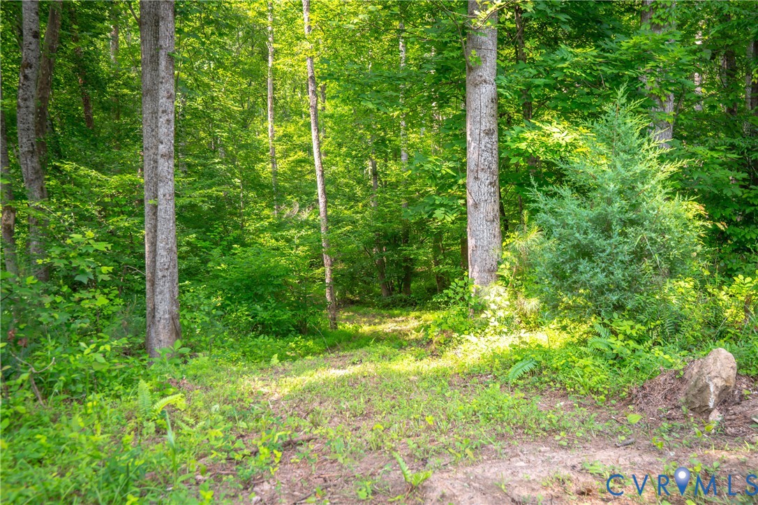 0 Chellowe Road Dillwyn, VA 23936 - Photo 16 of 52 a view of outdoor space and trees