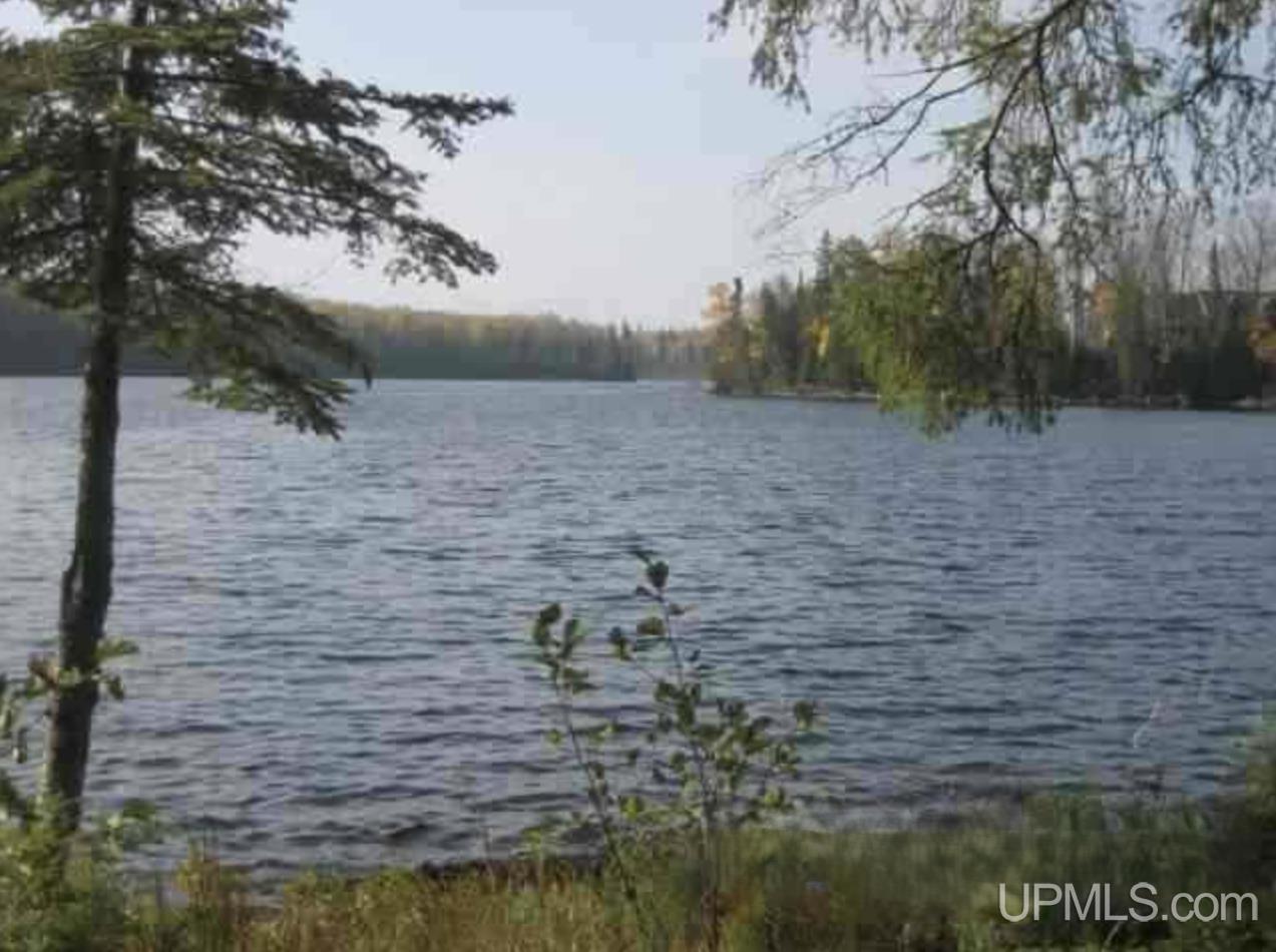 Lot 7 Fence Lake Road Republic, MI 49879 - Photo 2 of 21