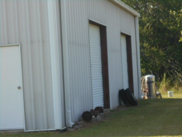 321 Fodie Road Quitman, GA 31643 - Photo 33 of 48 Gallery Image 33