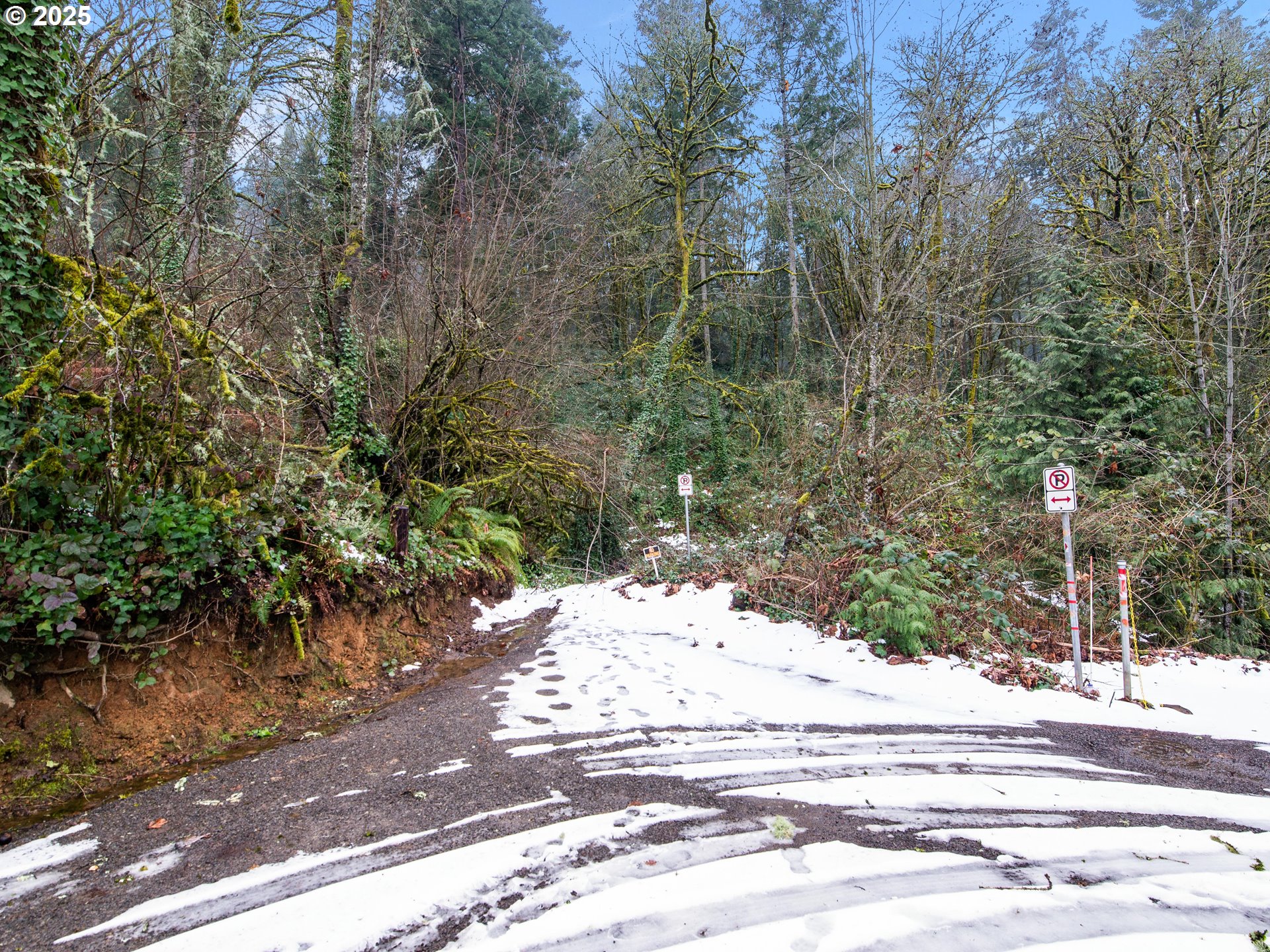 0 Northwest Elva Avenue Portland, OR 97231 - Photo 4 of 17