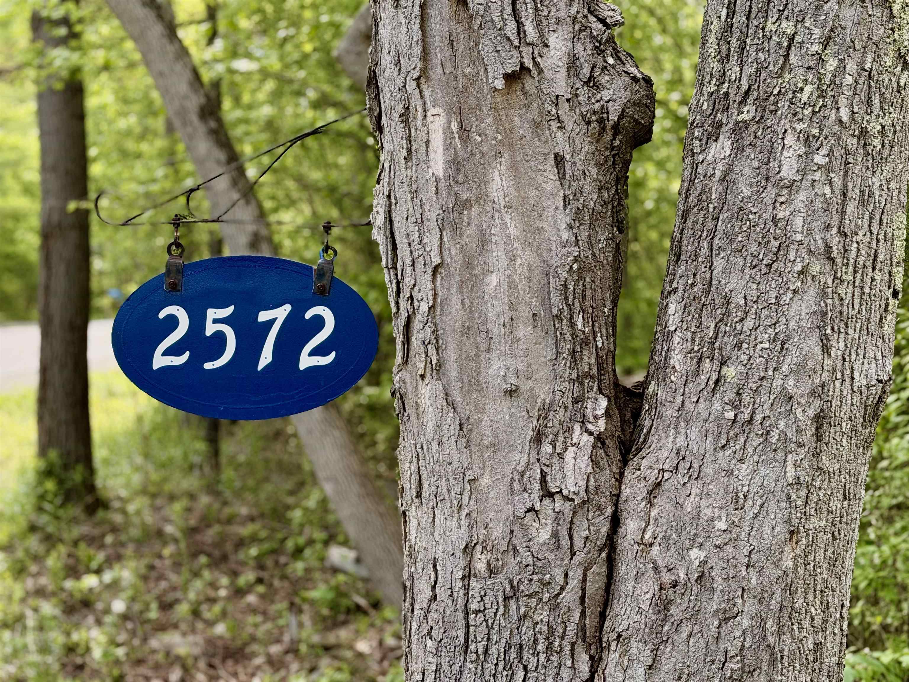 2572 Morse Hill Road Dorset, VT 05251 - Photo 50 of 57