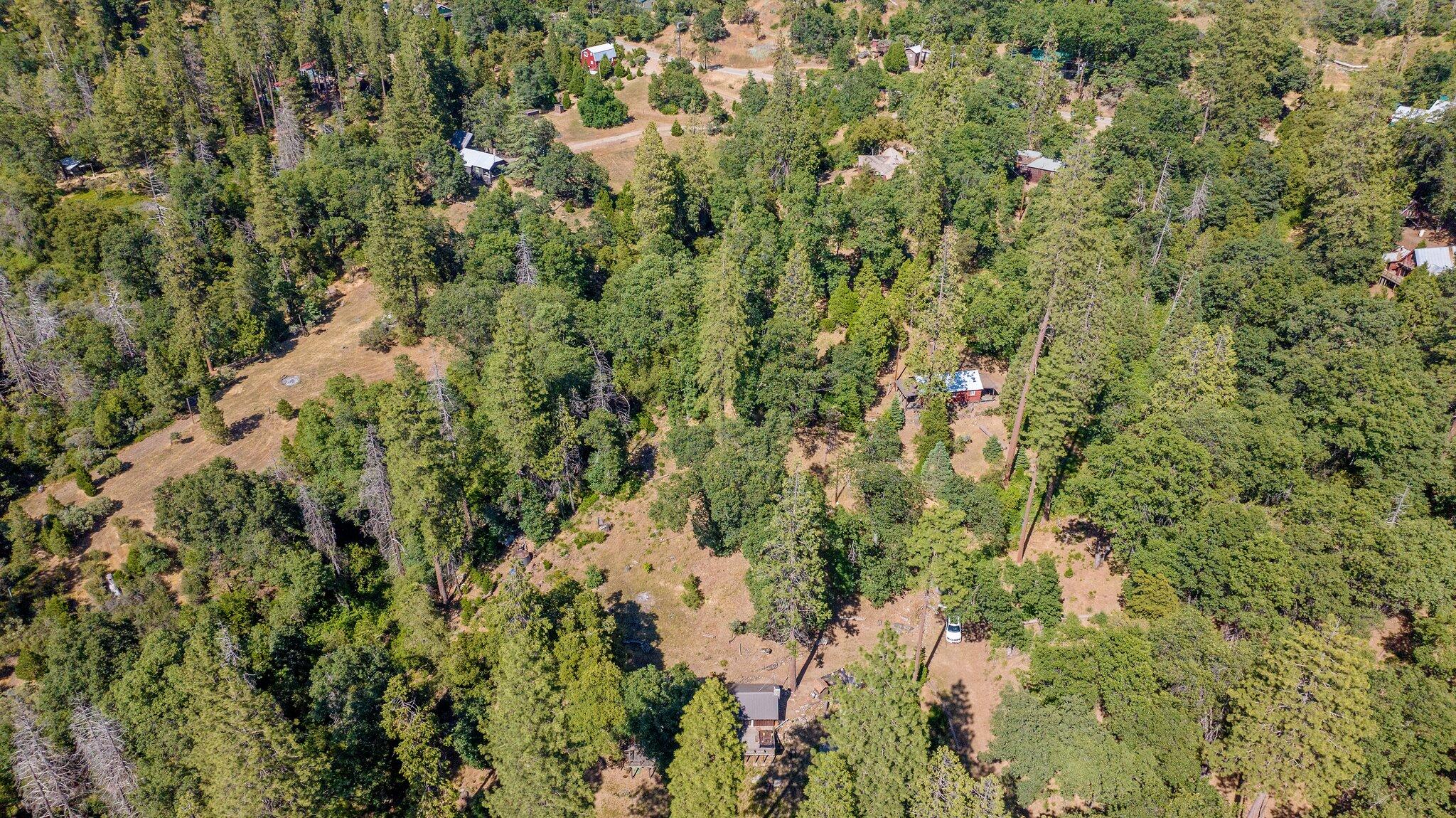 48675 Todd Eymann Road Miramonte, CA 93641 - Photo 79 of 103 78-web-or-mls-DJI_20250630161333_0887_D