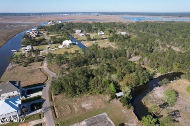 1446 Hanakealoha Place Diamondhead, MS 39525 - Photo 2 of 8 aerial