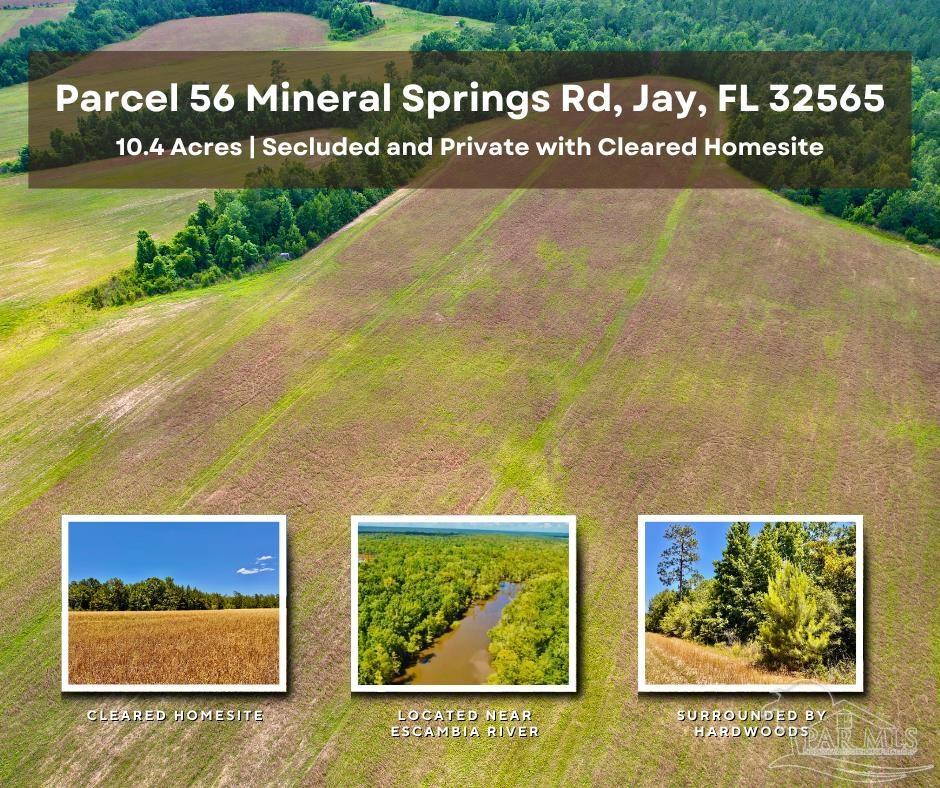 Lot 56 Mineral Springs Road Jay, FL 32565 - Photo 1 of 15 a view of a swimming pool with a park