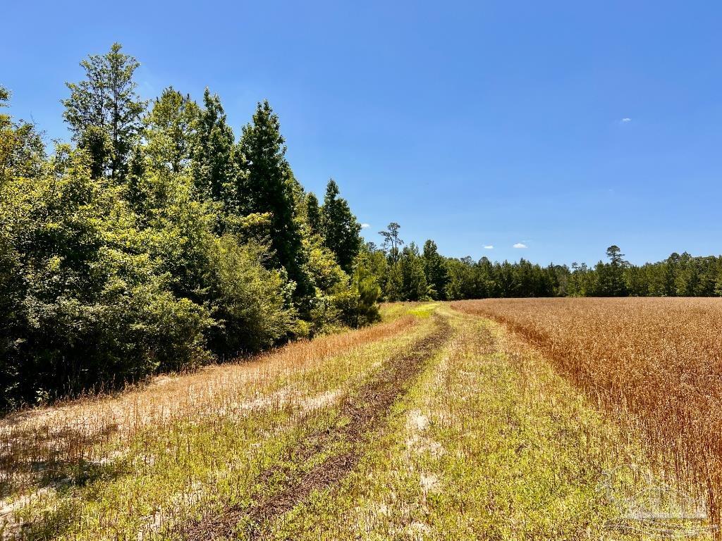 Lot 56 Mineral Springs Road Jay, FL 32565 - Photo 5 of 15 a view of lake view and mountain view