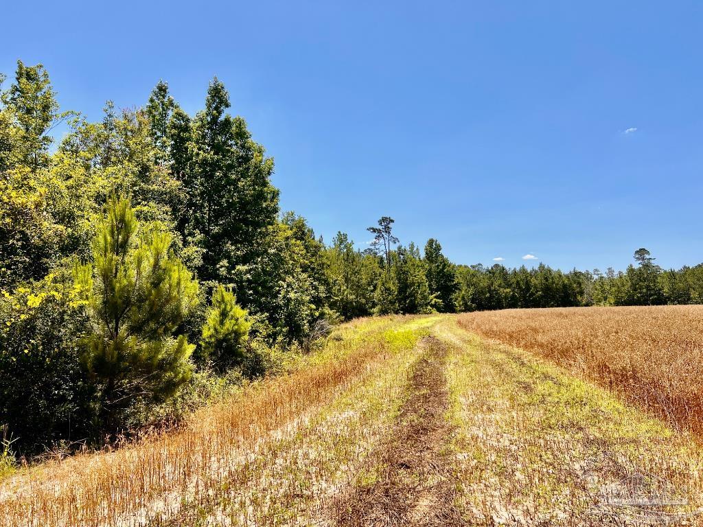 Lot 56 Mineral Springs Road Jay, FL 32565 - Photo 6 of 15 a view of an ocean and beach