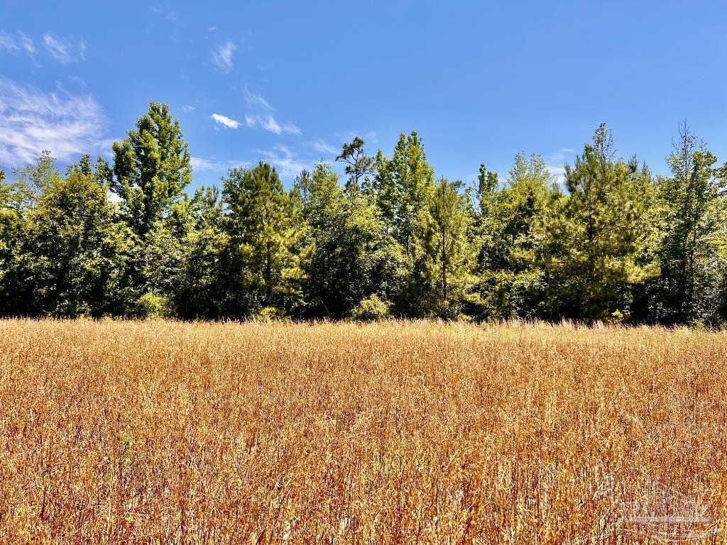 Lot 56 Mineral Springs Road Jay, FL 32565 - Photo 8 of 15 a view of a field