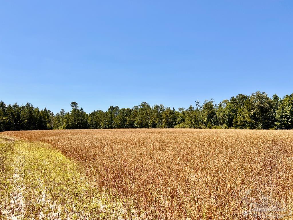 Lot 56 Mineral Springs Road Jay, FL 32565 - Photo 9 of 15 a view of an ocean