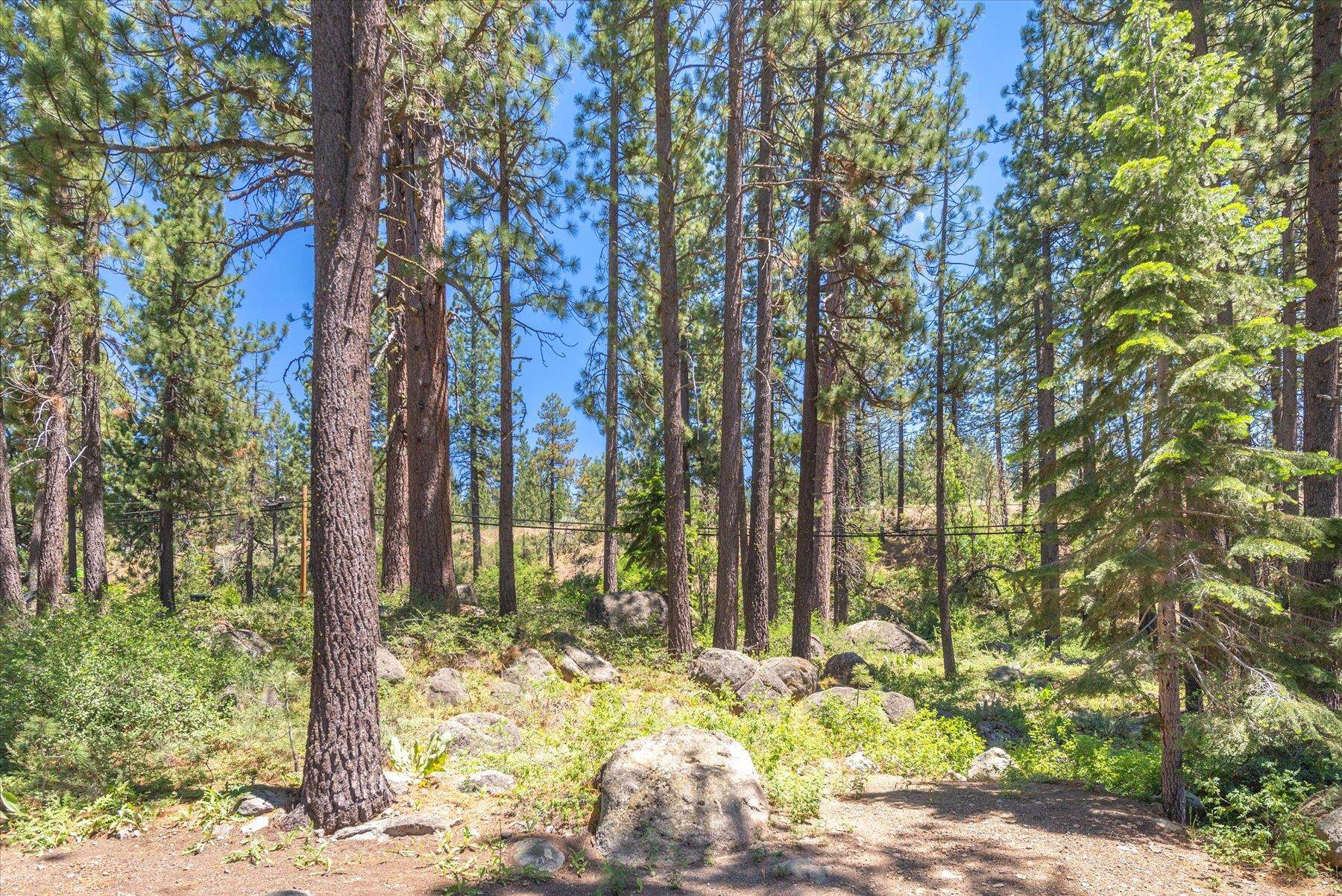 13020 Donner Pass Road Truckee, CA 96161 - Photo 6 of 18