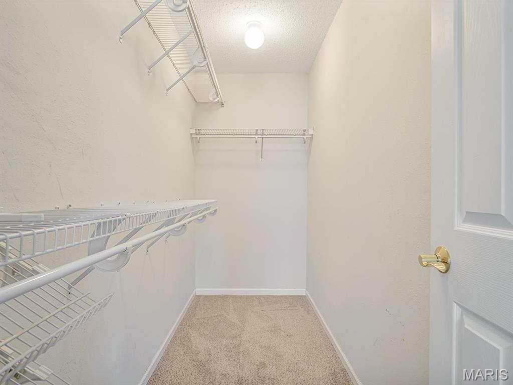 630 Hamacher Street Waterloo, IL 62298 - Photo 19 of 30