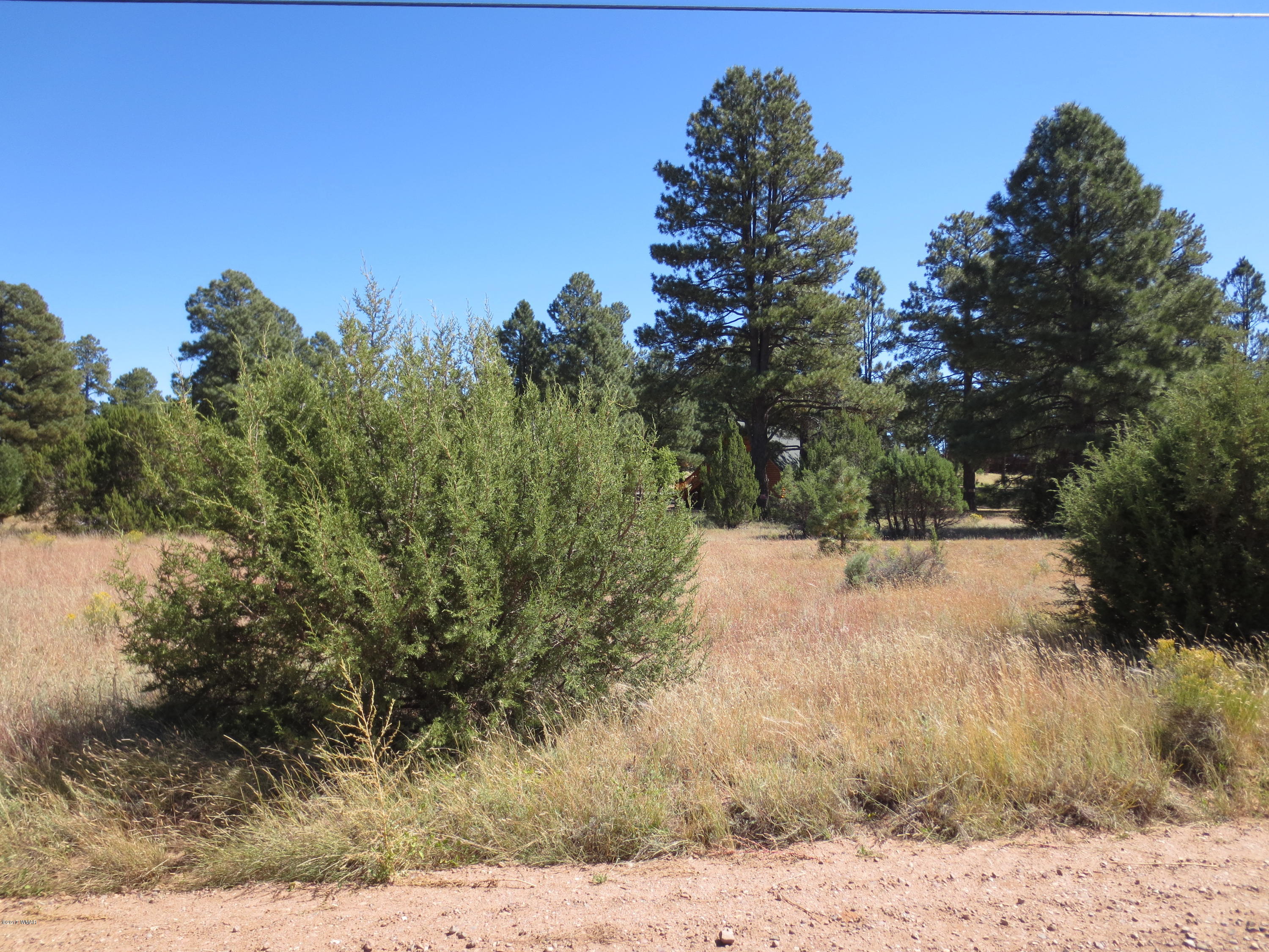2763 Zane Grey Boulevard Overgaard, AZ 85933 - Photo 2 of 7