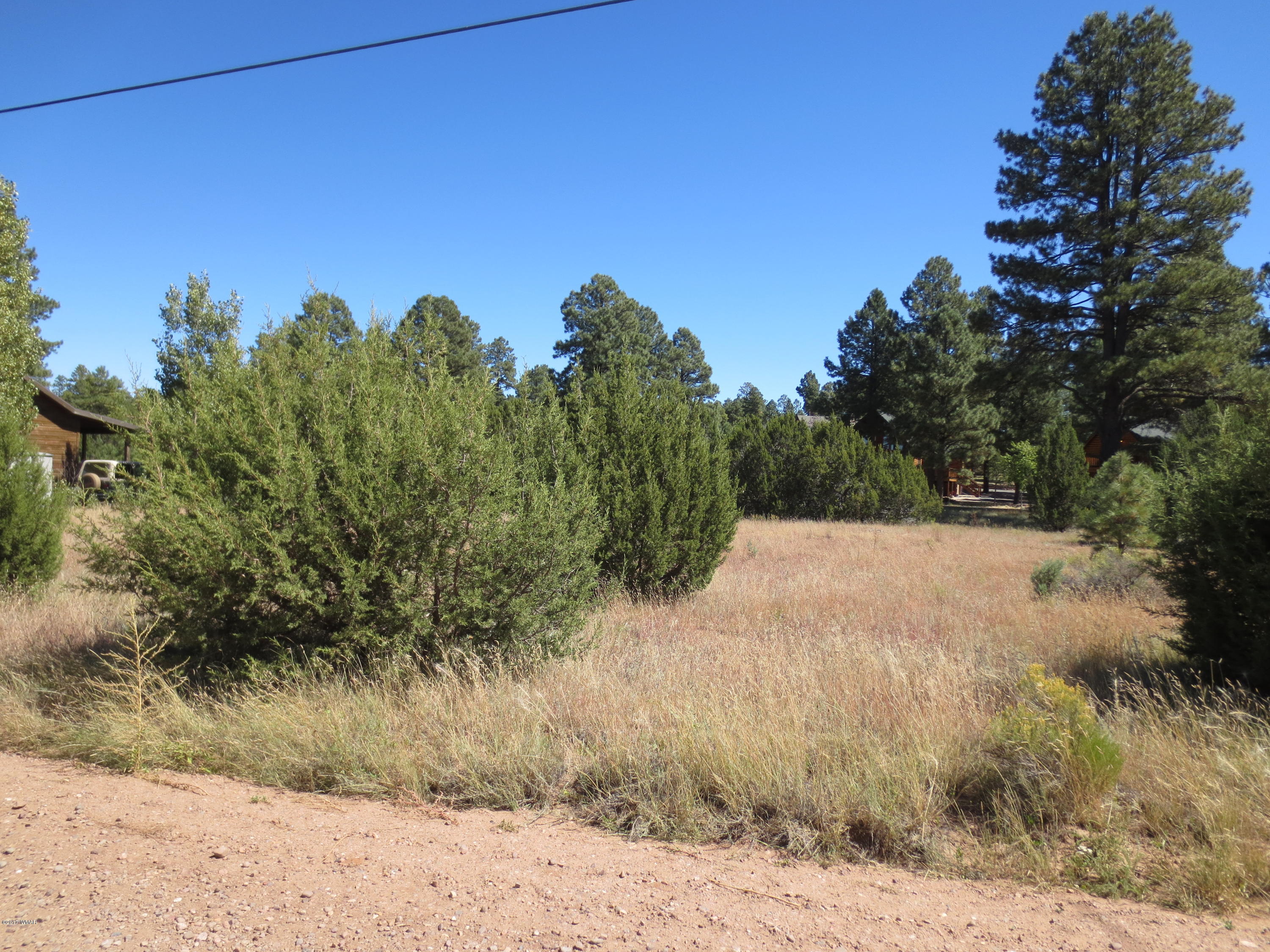 2763 Zane Grey Boulevard Overgaard, AZ 85933 - Photo 3 of 7