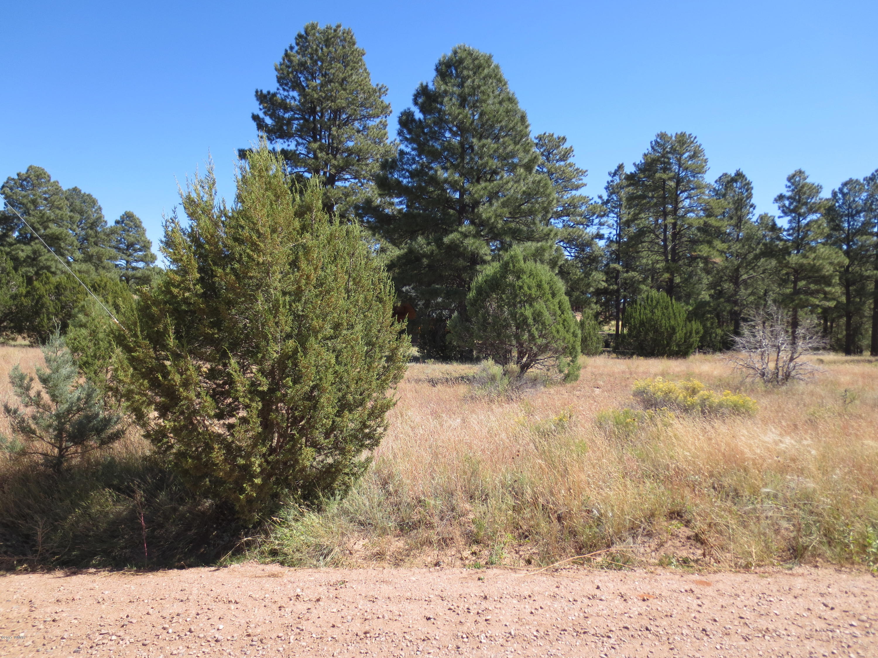 2763 Zane Grey Boulevard Overgaard, AZ 85933 - Photo 4 of 7