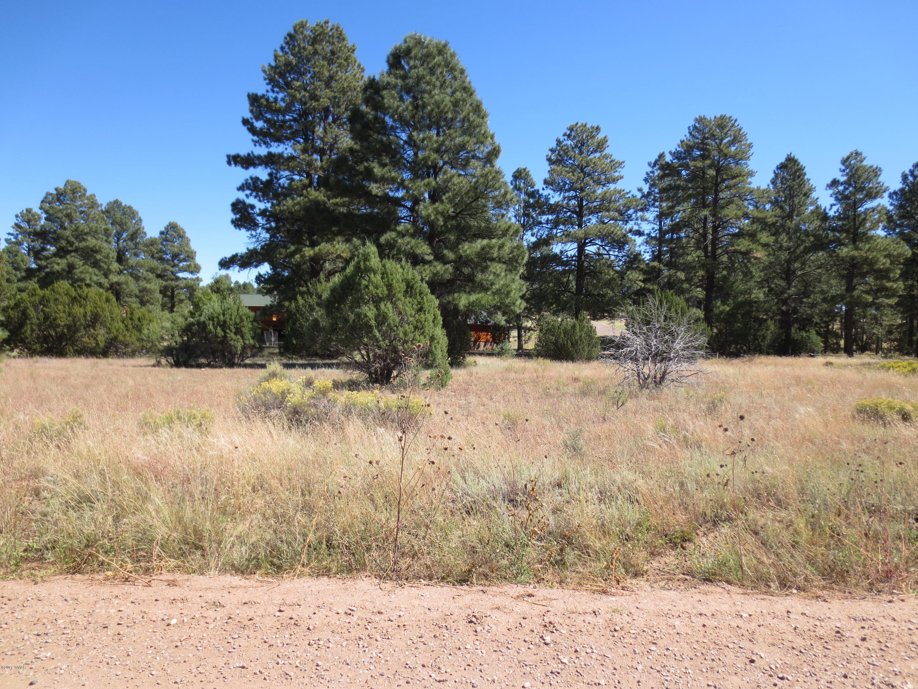 2763 Zane Grey Boulevard Overgaard, AZ 85933 - Photo 5 of 7