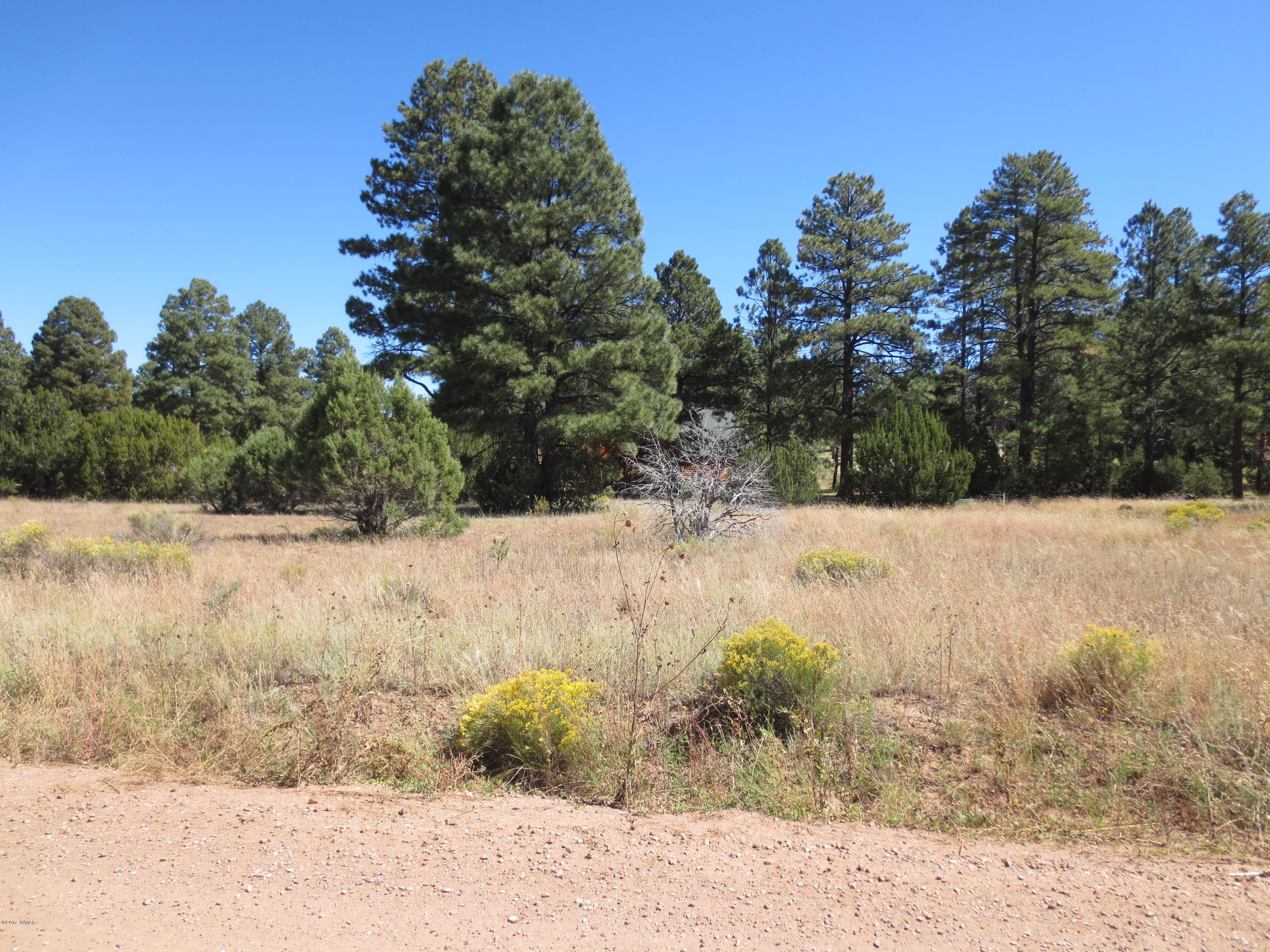 2763 Zane Grey Boulevard Overgaard, AZ 85933 - Photo 6 of 7