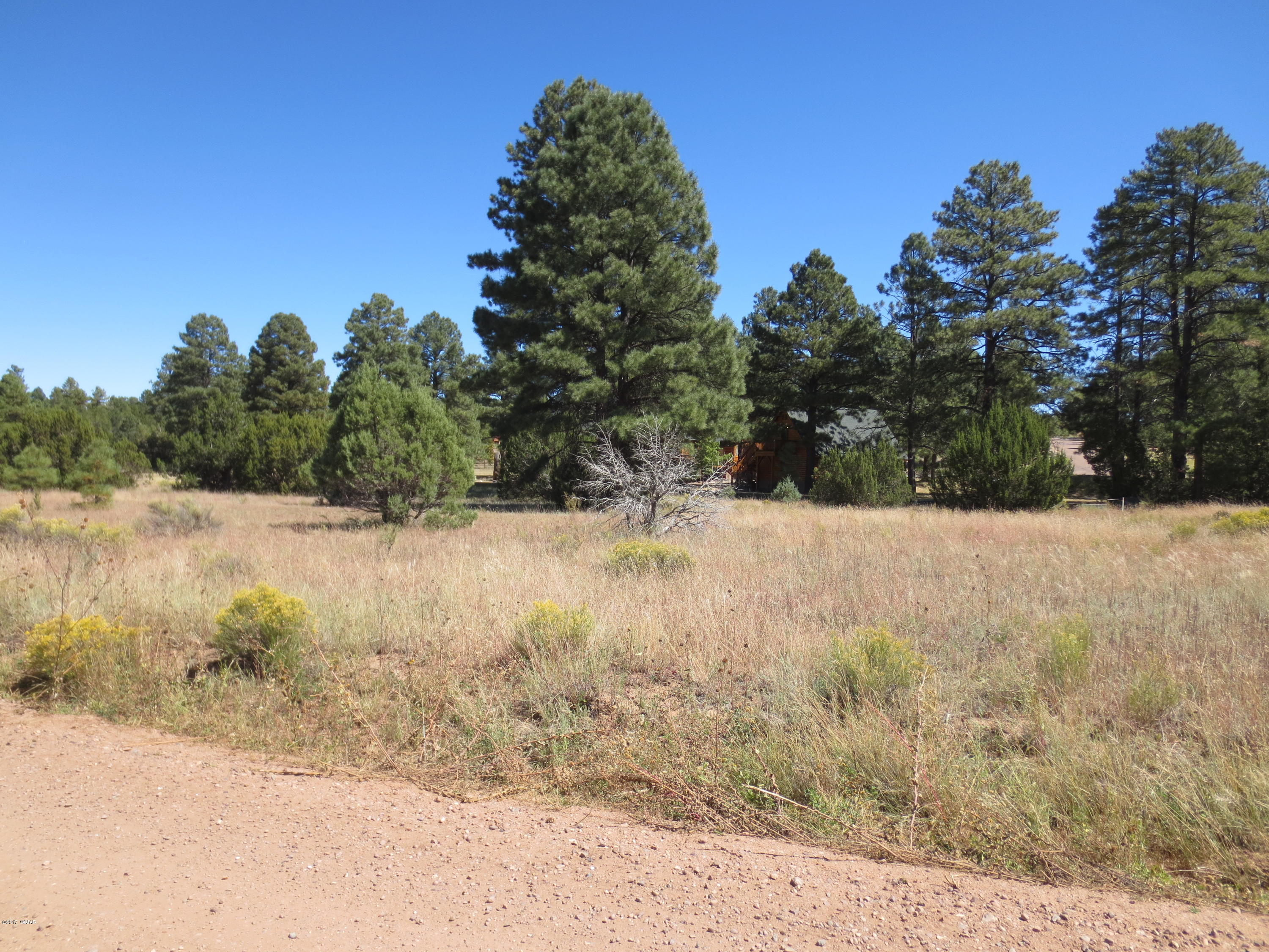 2763 Zane Grey Boulevard Overgaard, AZ 85933 - Photo 7 of 7
