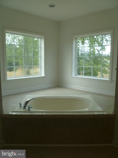 71 Woodbrier Road Berkeley Springs, WV 25411 - Photo 23 of 29 Bath (Master)